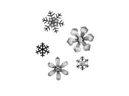 snowflakes comp